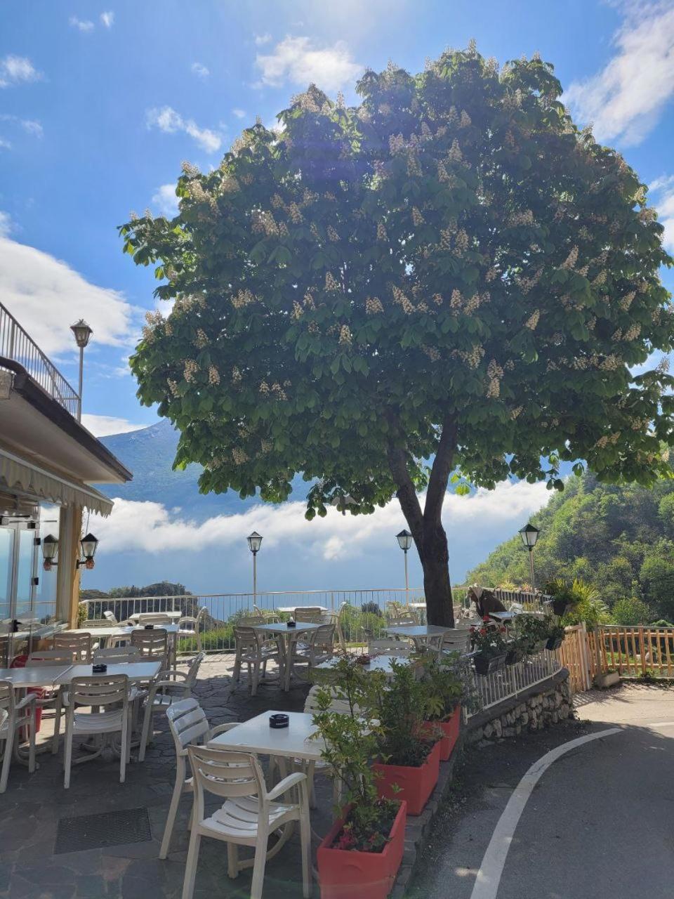 Hotel Panorama Riva del Garda Eksteriør bilde
